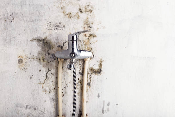 Best Mold Testing  in Pomeroy, OH