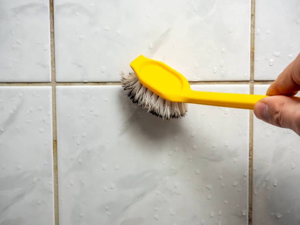 Best Mold Removal Near Me  in Pomeroy, OH