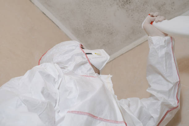 Professional Mold Removal in Pomeroy, OH