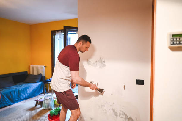 Best Residential Mold Removal  in Pomeroy, OH